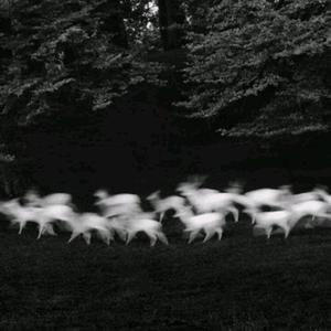 很污很黄的视频网站免费
