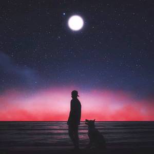 很污很黄的视频网站免费
