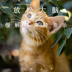 很污很黄的视频网站免费
